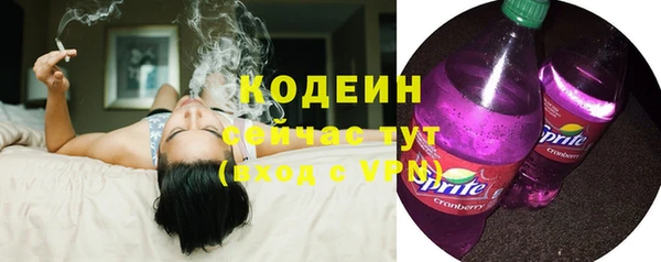 прущие грибы Алзамай
