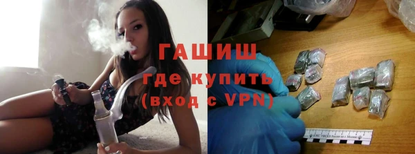 прущие грибы Алзамай