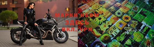 прущие грибы Алзамай