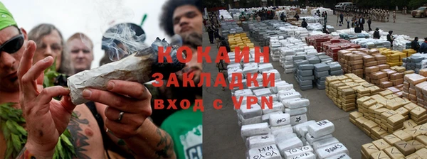 сатива Алексин