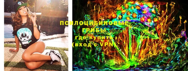 PSILOCYBIN Абдулино
