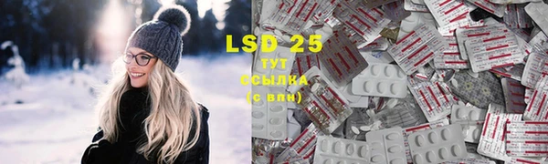 PSILOCYBIN Абдулино