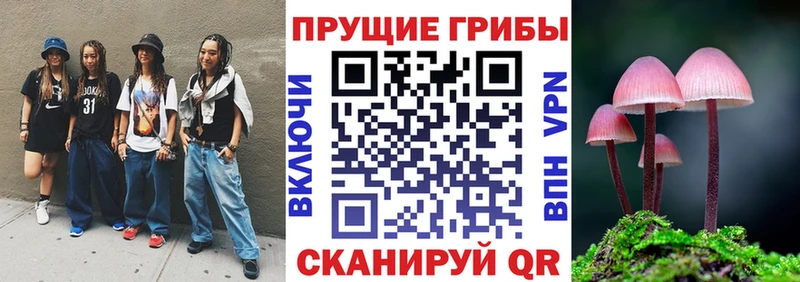 omg как войти  Почеп  Галлюциногенные грибы Magic Shrooms  купить  